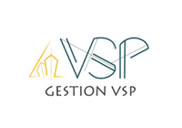 Gestion VSP